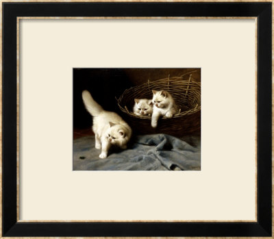 White Angora Kittens With A Beetle by Arthur Heyer Pricing Limited Edition Print image