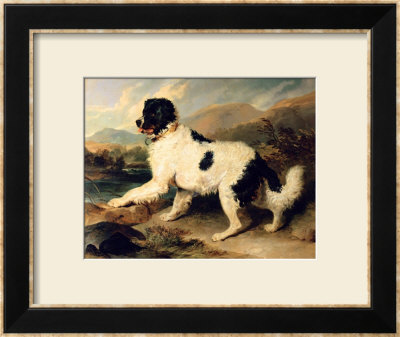 Newfoundland Dog Called Lion, 1824 by Edwin Henry Landseer Pricing Limited Edition Print image