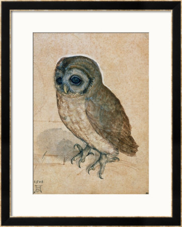 Sreech-Owl, 1508 by Albrecht Durer Pricing Limited Edition Print image