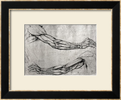 Study Of Arms by Leonardo Da Vinci Pricing Limited Edition Print image