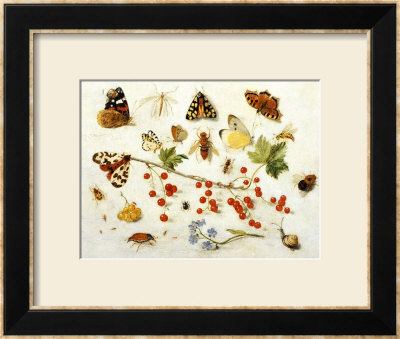 Butterflies, Moths And Other Insects With A Snail And A Sprig Of Redcurrants, 1680 by Jan Van Kessel Pricing Limited Edition Print image
