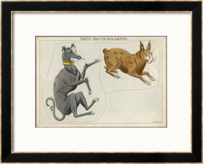 Canis Major (Dog) And Lepus (Hare) Constellation by Sidney Hall Pricing Limited Edition Print image