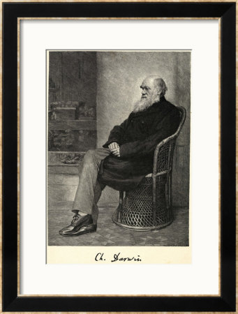 Charles Darwin English Naturalist Sitting In A Chair by Thomas Johnson Pricing Limited Edition Print image