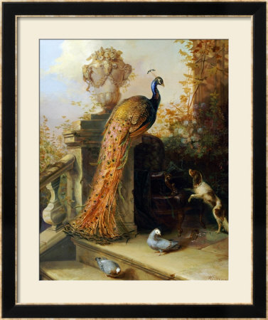 A Peacock On A Terrace With A Dog And Pigeons by Johann-Rudolf Koller Pricing Limited Edition Print image