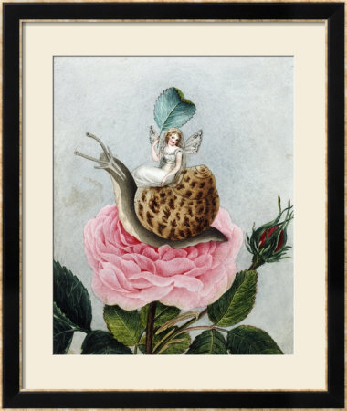 A Fairy Holding A Leaf, Sitting On A Snail Above A Rose by Amelia Jane Murray Pricing Limited Edition Print image