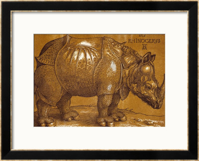 The Rhinoceros, 1515, Pen And Ink, Wash by Albrecht Dürer Pricing Limited Edition Print image