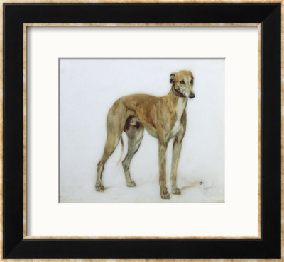 A Fawn Greyhound, 1897 by Cecil Aldin Pricing Limited Edition Print image