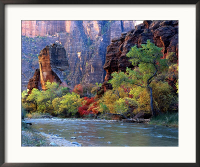 Fall Foliage Along Virgin River, Zion National Park, Utah, Usa by Howie Garber Pricing Limited Edition Print image