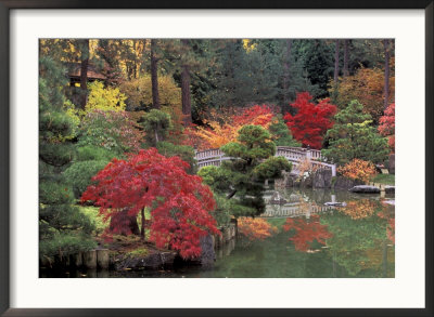Kiri Pond And Bridge In A Japanese Garden, Spokane, Washington, Usa by Jamie & Judy Wild Pricing Limited Edition Print image