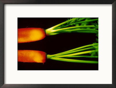 Carrot Seed Packet by Fogstock Llc Pricing Limited Edition Print image