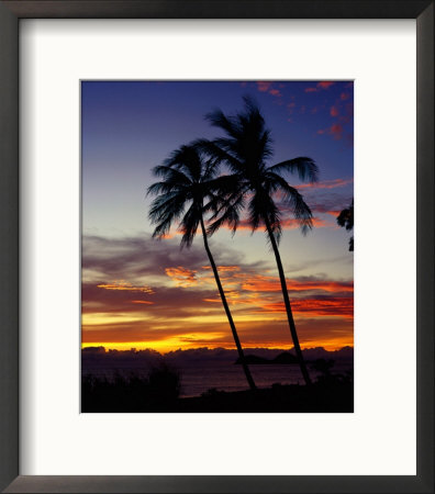 Palm Trees Against An Ellis Beach Sunset, Australia by Richard I'anson Pricing Limited Edition Print image