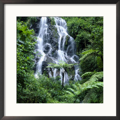 Waterfall Cascading Over Rocks In A Lush Forest Setting by David Pluth Pricing Limited Edition Print image