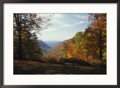 Babcock State Park, Wv by Everett Johnson Pricing Limited Edition Print image