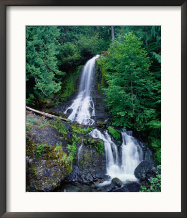 Cascading Waterfall Through Rainforest, Mt. Rainier National Park, Usa by Brent Winebrenner Pricing Limited Edition Print image