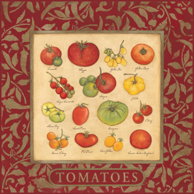 Tomatoes by Stephanie Marrott Pricing Limited Edition Print image