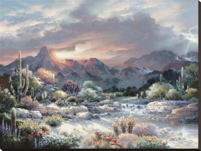 Sonoran Sunrise by James Lee Pricing Limited Edition Print image