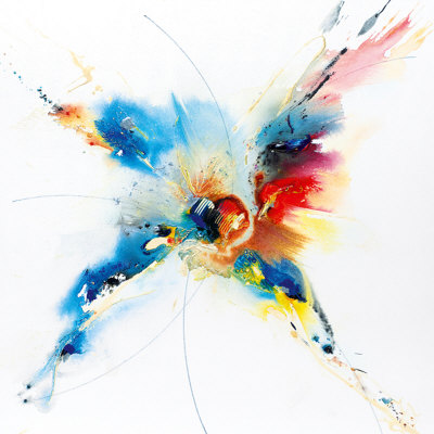 Flying Colours I by Hansjorg Furrer Pricing Limited Edition Print image
