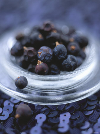 Juniper Berries In A Small Glass Bowl by David Loftus Pricing Limited Edition Print image