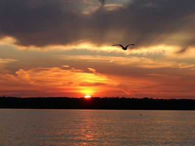 Sunset At Lake Of The Woods, Ontario, Canada by Keith Levit Pricing Limited Edition Print image