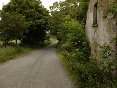 Rural Ireland, Stone Wall Along Country Road by Keith Levit Pricing Limited Edition Print image
