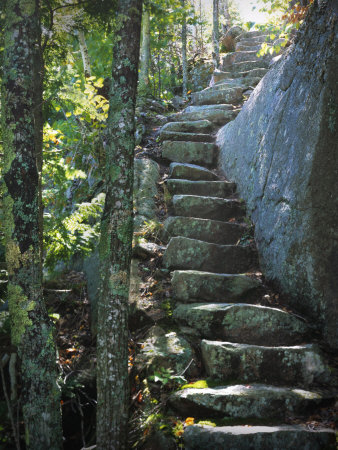 Stone Stairs, Dorr Mountain Trail, Acadia National Park by Lawrence Sawyer Pricing Limited Edition Print image