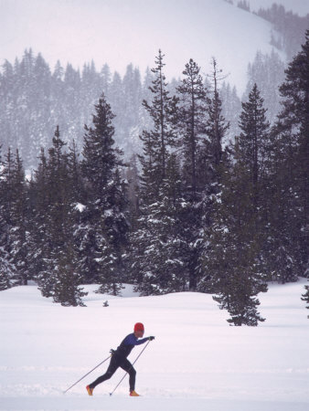 Man Skiing Cross Country by Charlie Borland Pricing Limited Edition Print image