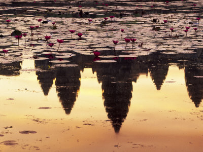 Reflection Of Angkor Wat In Pond, Cambodia by Walter Bibikow Pricing Limited Edition Print image