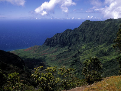 Kokee State Park, Honopu, Hi by Bill Bachmann Pricing Limited Edition Print image