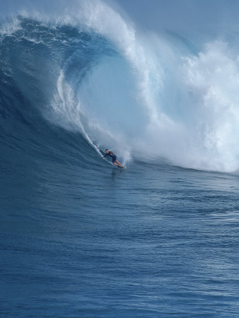 Surfer Riding Wave, Maui, Hawaii by Eric Sanford Pricing Limited Edition Print image
