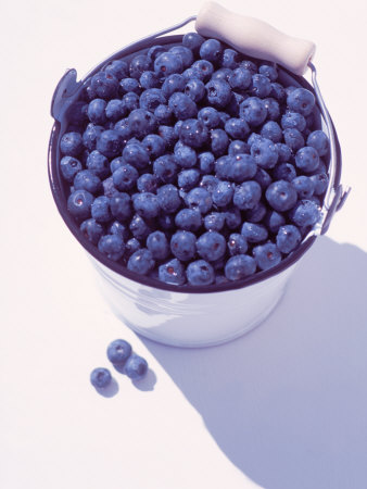 Bucket Of Blueberries by Len Delessio Pricing Limited Edition Print image