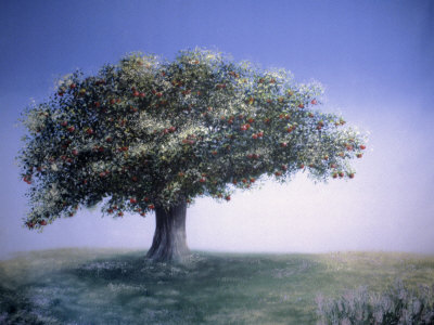 Painting Of An Apple Tree by William Rogers Pricing Limited Edition Print image