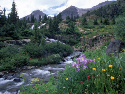 Yankee Boy Basin, San Juan Mts, Co by David Carriere Pricing Limited Edition Print image