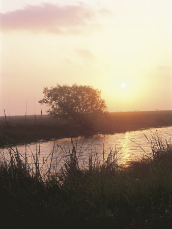 Sunrise, San Bernard Nwr, Tx by Harry Walker Pricing Limited Edition Print image