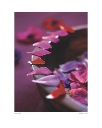 Alizarin Crimson Iii by Sandra Lane Pricing Limited Edition Print image