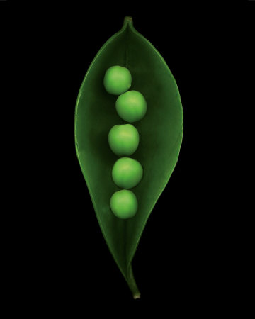 Garden Pea by Harold Feinstein Pricing Limited Edition Print image
