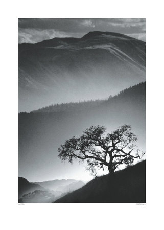 Misty Mountains by Jean Miele Pricing Limited Edition Print image