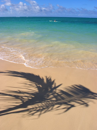 Palm Tree Shadow On Beach, Lani Kai, Hi by Tomas Del Amo Pricing Limited Edition Print image
