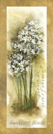 White Hyacinth Panel by Julie Ueland Pricing Limited Edition Print image