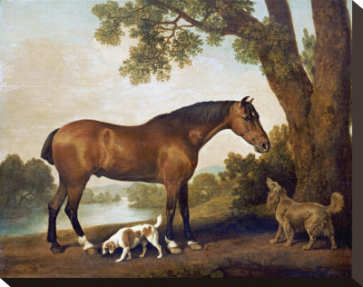 Bay Hunter, Springer Spaniel And Sussex Spaniel, C.1782 by George Stubbs Pricing Limited Edition Print image