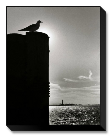 Sentinel by Bill Perlmutter Pricing Limited Edition Print image