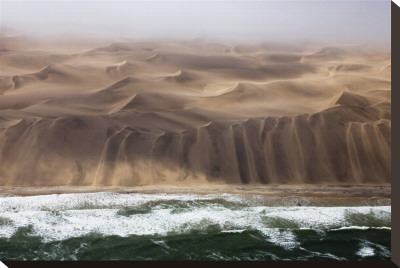 Skeleton Coast by Andy Biggs Pricing Limited Edition Print image