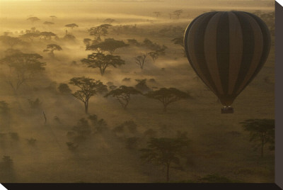 Balloon Over The Serengeti by Andy Biggs Pricing Limited Edition Print image