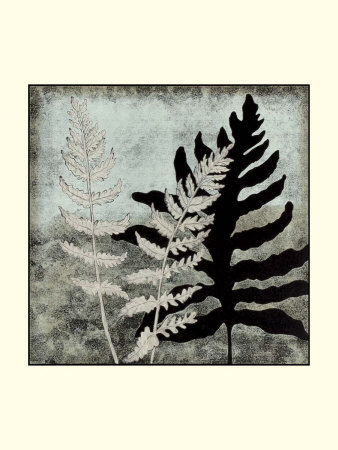 Illuminated Ferns I by Megan Meagher Pricing Limited Edition Print image