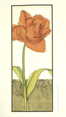 Bella Flora Iii by Jennifer Goldberger Pricing Limited Edition Print image