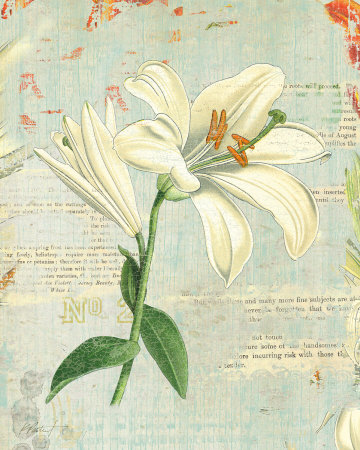 Spring Lily Ii by Katie Pertiet Pricing Limited Edition Print image