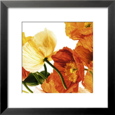 Poppies Iii by Richard Weinstein Pricing Limited Edition Print image