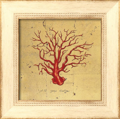 Red Coral I by Marco Fabiano Pricing Limited Edition Print image