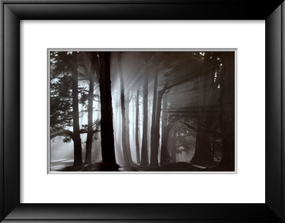 Morning, Harding Park, San Francisco, 2002 by Mark Citret Pricing Limited Edition Print image