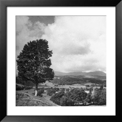 Grassy Knoll Up The Hill From The Farm Where Beatrix Potter Spent Time Sketching And Writing by George Rodger Pricing Limited Edition Print image