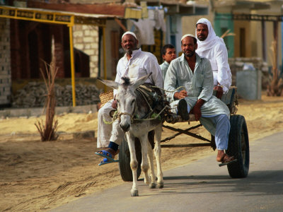 Men On Donkey Cart In Siwa, Egypt by Juliet Coombe Pricing Limited Edition Print image